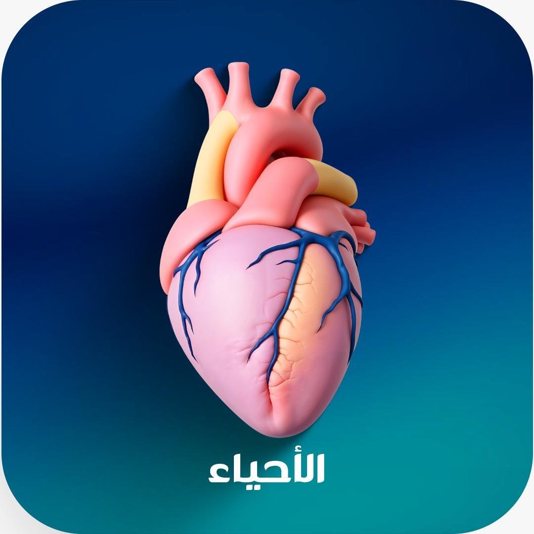 الأحياء